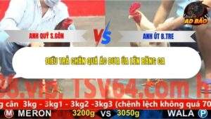 Trận 18 trường gà Cpc5 24/11/2025