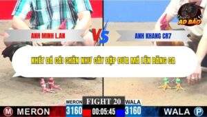 Trận 20 trường gà CPC3 30/11/2025