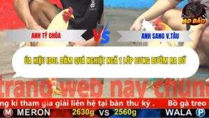 Trận 20 trường gà CPC5 20/11/2025