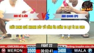 Trận 22 trường gà CPC6 5/11/2025