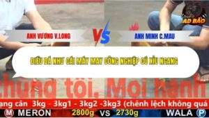 Trận 23 trường gà CPC5 29/11/2025