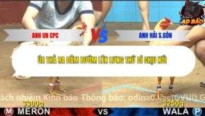 Trận 3 trường gà Cpc4 27/11/2025