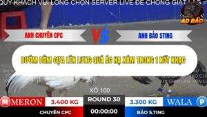 Trận 30 trường gà Tonhon 13/11/2025