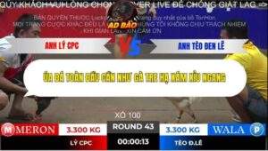 Trận 43 trường gà Tonhon 2/11/2025