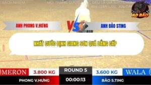 Trận 5 trường gà Tonhon 13/11/2025