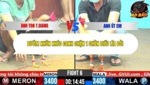 Trận 6 trường gà CPC6 2/11/2025