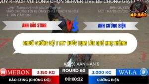 Trận 60 trường gà Tonhon 2/11/2025