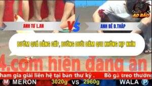 Trận 7 trường gà CPC5 8/11/2025