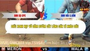 Trận 9 trường gà Cpc4 27/11/2025