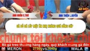 Trận 9 trường gà CPC5 11/11/2025