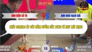 Trận 13 trường gà Xà Xía 31/12/2025