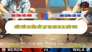 Trận 17 trường gà Cpc4 12/12/2025