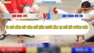 Trận 2 trường gà Tonhon 31/12/2025