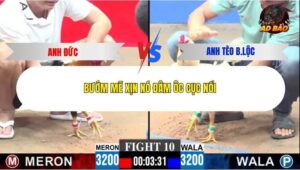 Trận 10 trường gà C3 28/12/2025