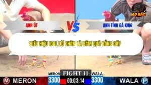 Trận 11 trường gà C3 21/12/2025