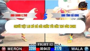 Trận 12 trường gà C3 21/12/2025