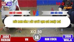 Trận 16 trường gà Tonhon 4/12/2025