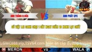 Trận 18 trường gà C4 4/12/2025