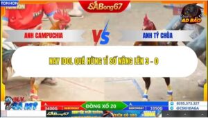 Trận 19 trường gà Tonhon 24/12/2025