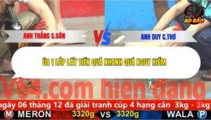 Trận 22 trường gà C5 9/12/2025