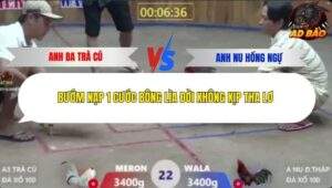 Trận 22 trường gà Xà Xía 7/12/2025