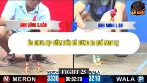 Trận 25 trường gà C3 7/12/2025