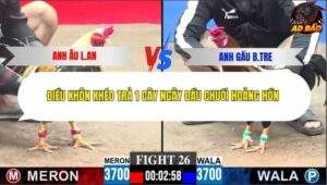 Trận 26 trường gà C3 7/12/2025