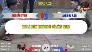 Trận 27 trường gà Xà Xía 19/12/2025