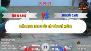 Trận 27 trường gà Xà Xìa 28/12/2025