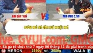 Trận 28 trường gà CPC5 2/12/2025