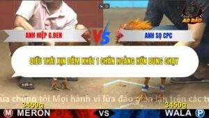 Trận 34 trường gà C4 18/12/2025