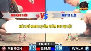 Trận 5 trường gà C3 21/12/2025