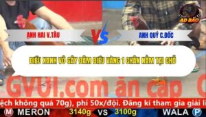 Trận 52 trường gà C5 21/12/2025