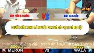 Trận 7 trường gà C4 18/12/2025