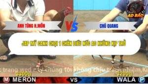 Trận 7 trường gà C4 5/12/2025