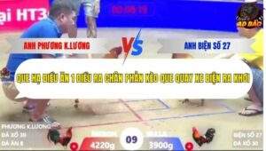 Trận 9 trường gà Xà Xía 6/1/2026