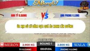 Trận 1 trường gà Tonhon 7/1/2026