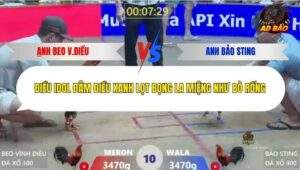 Trận 10 trường gà Xà Xía 1/1/2026