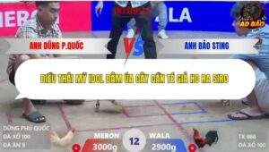 Trận 12 trường gà Xà Xía 1/1/2026