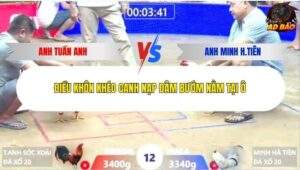 Trận 12 trường gà Xà Xía 9/1/2026