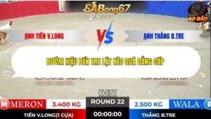 Trận 22 trường gà Tonhon 5/1/2026