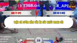 Trận 28 trường gà Xà Xía 1/1/2026