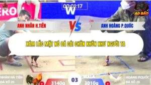 Trận 3 trường gà Xà Xía 9/1/2026