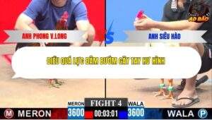 Trận 4 trường gà CPC3 29/1/2026