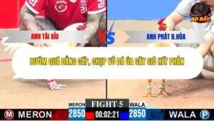 Trận 5 trường gà CPC3 29/1/2026