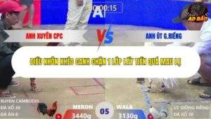 Trận 5 trường gà Xà Xía 10/1/2026