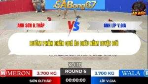 Trận 6 trường gà Tonhon 16/1/2026