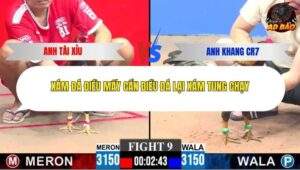 Trận 9 trường gà CPC3 27/1/2026
